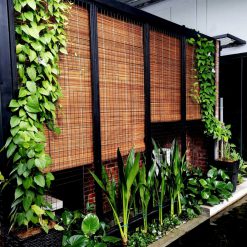 Rèm tre trúc tự nhiên che nắng hiệu quả