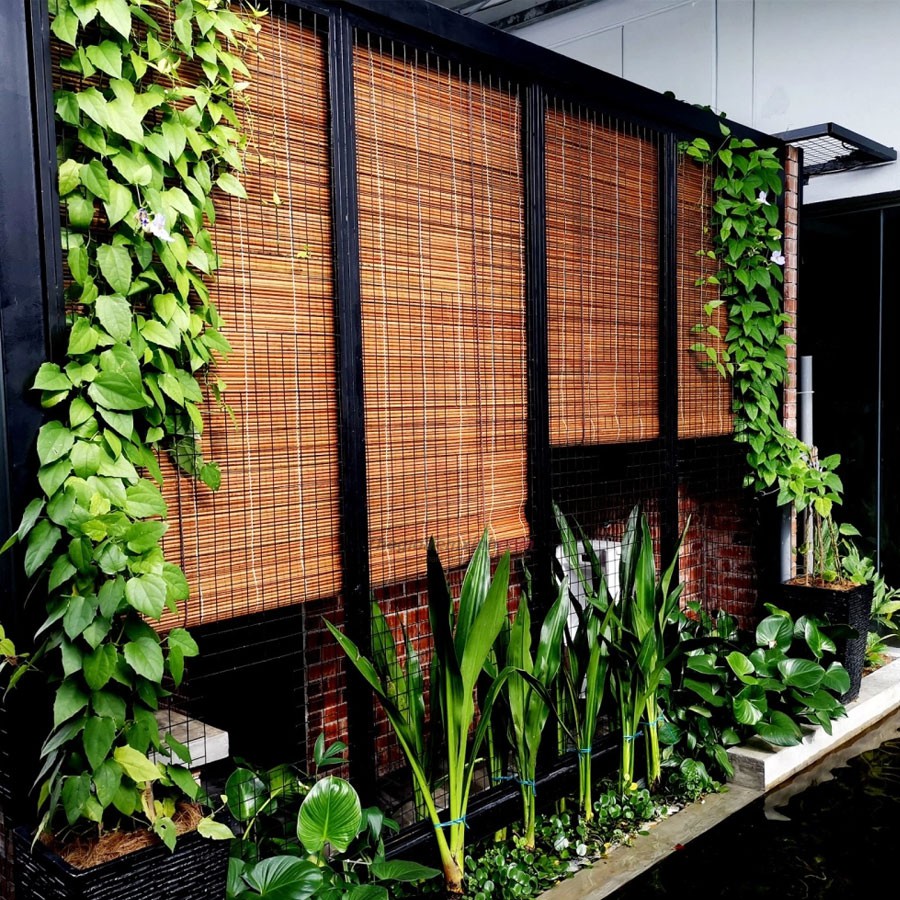 Rèm tre trúc tự nhiên che nắng hiệu quả